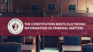 Electronic Information in Criminal Proceedings—Part 1: The Constitution Meets Electronic Information in Criminal Matters
