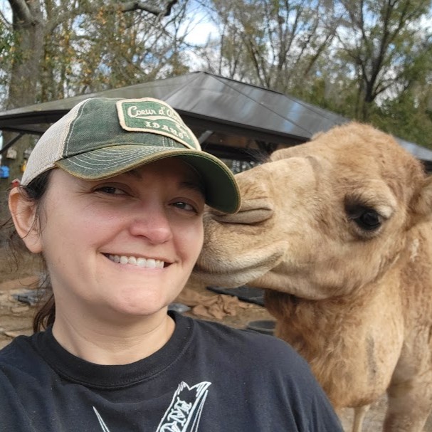 a woman wearing a ball cap posing with a llama